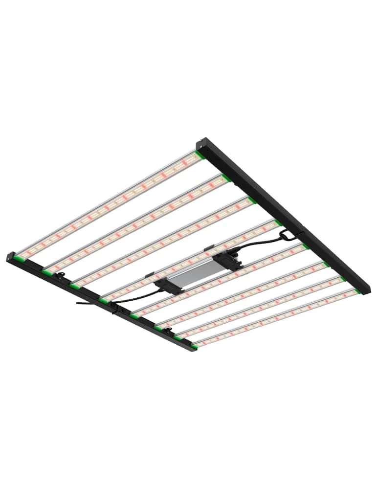 Quantum Board