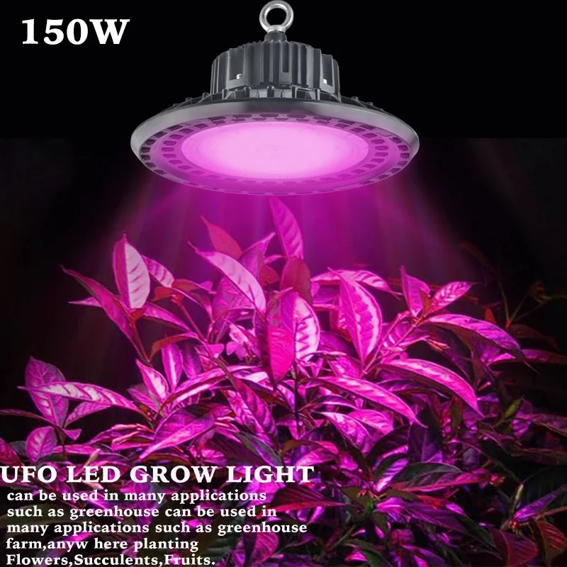 Commercial Greenhouse Lighting