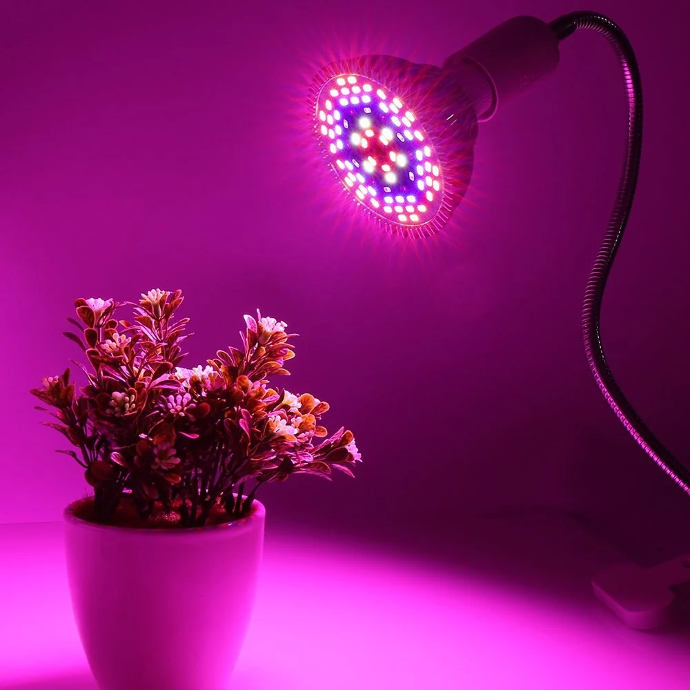 Vegetable Growing LED Lights