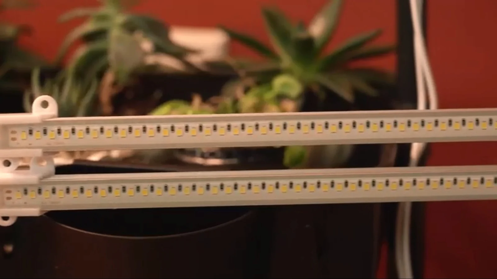 Wholesale LED Grow Lights