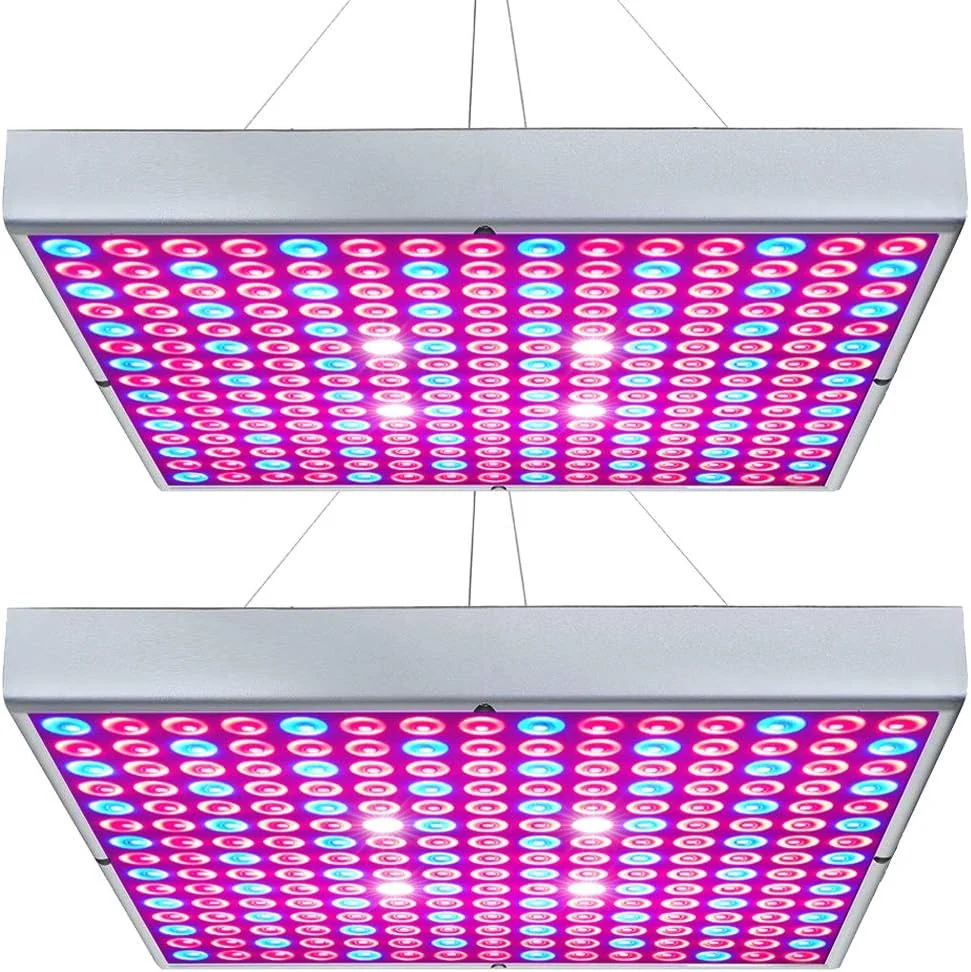 How to Choose LED Grow Lights