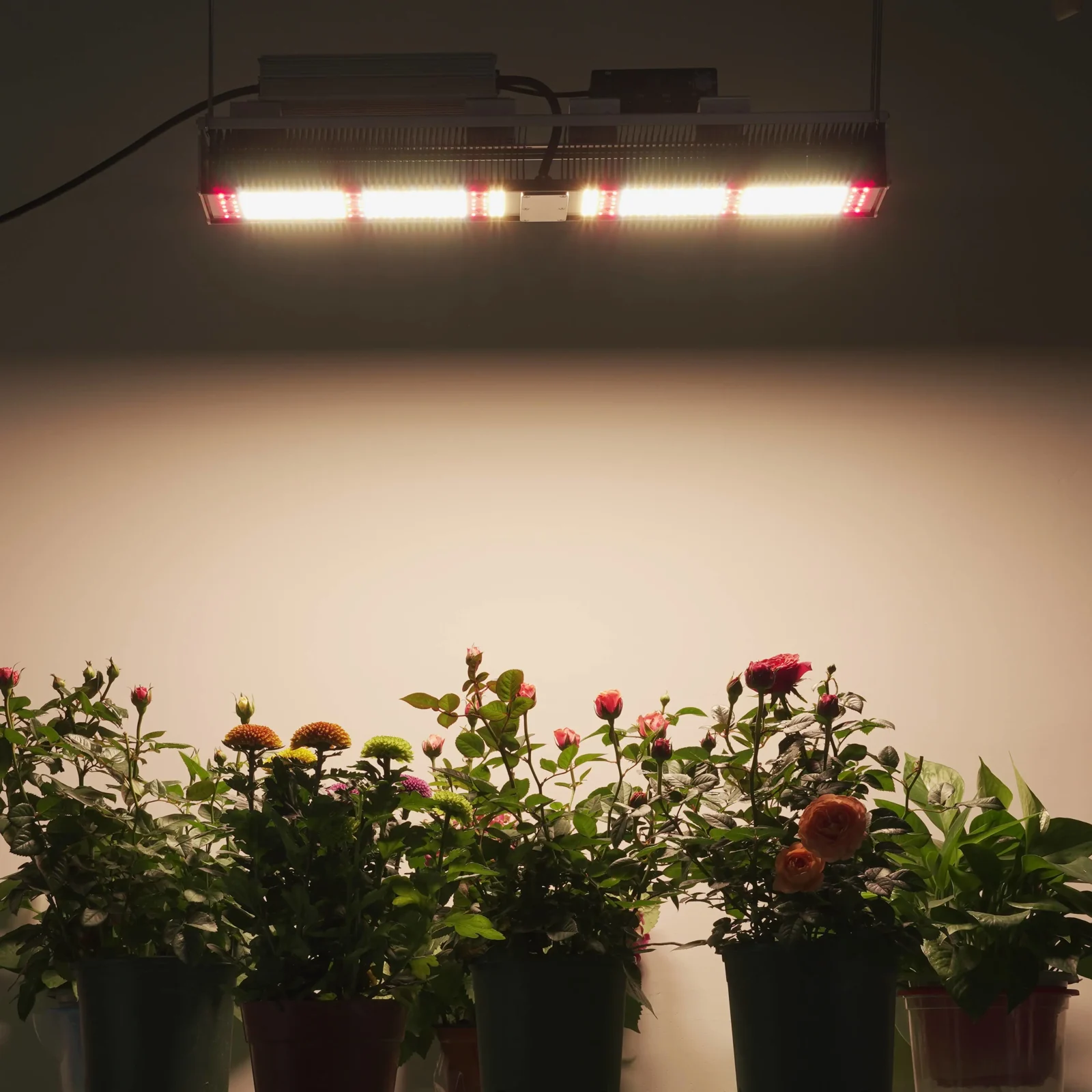 Full Spectrum Grow Lights Benefits