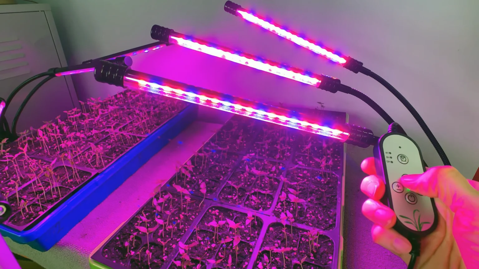 Greenhouse LED Top Lighting detail
