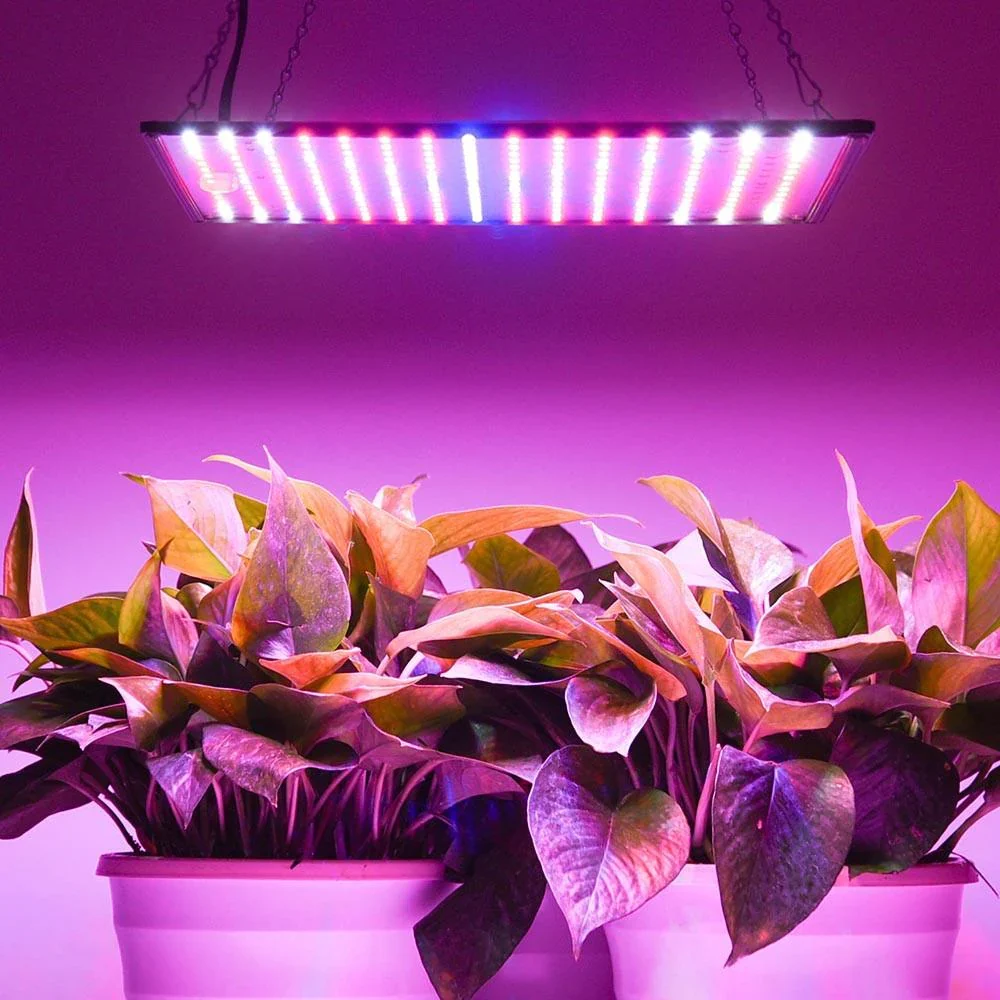 Smart Grow Light Control Systems application