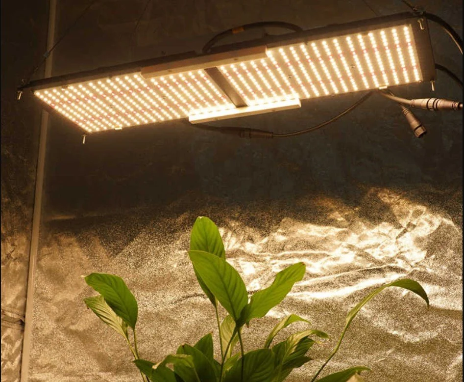 家用植物灯