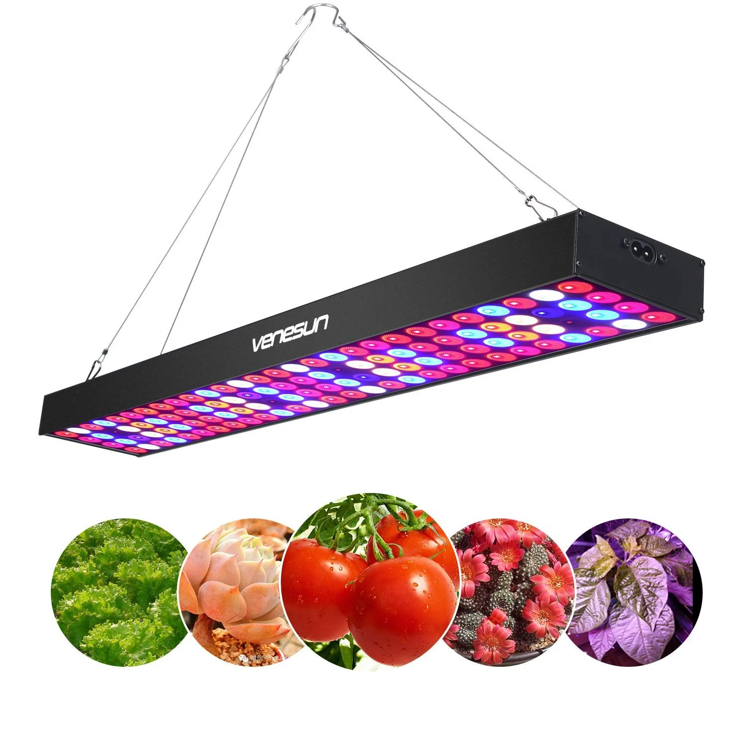垂直农场 LED Lighting