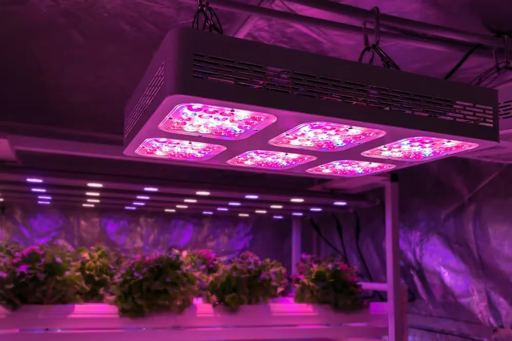 量子板 LED Grow Lights