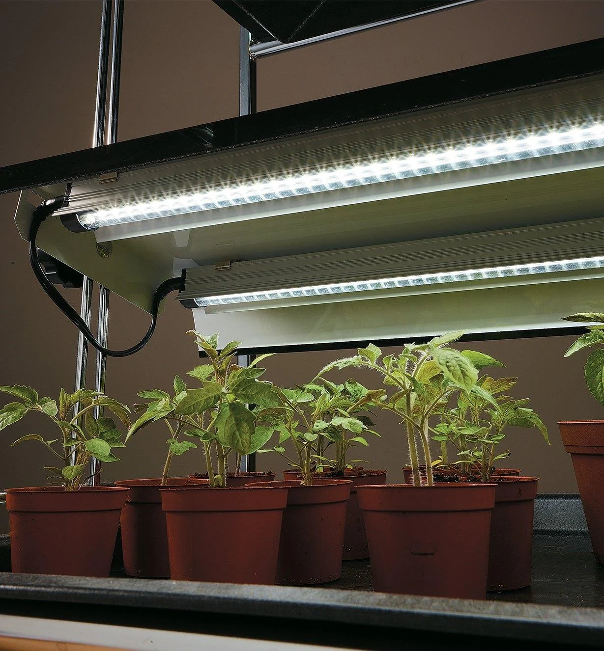 Medicinal Plant LED Grow Lights